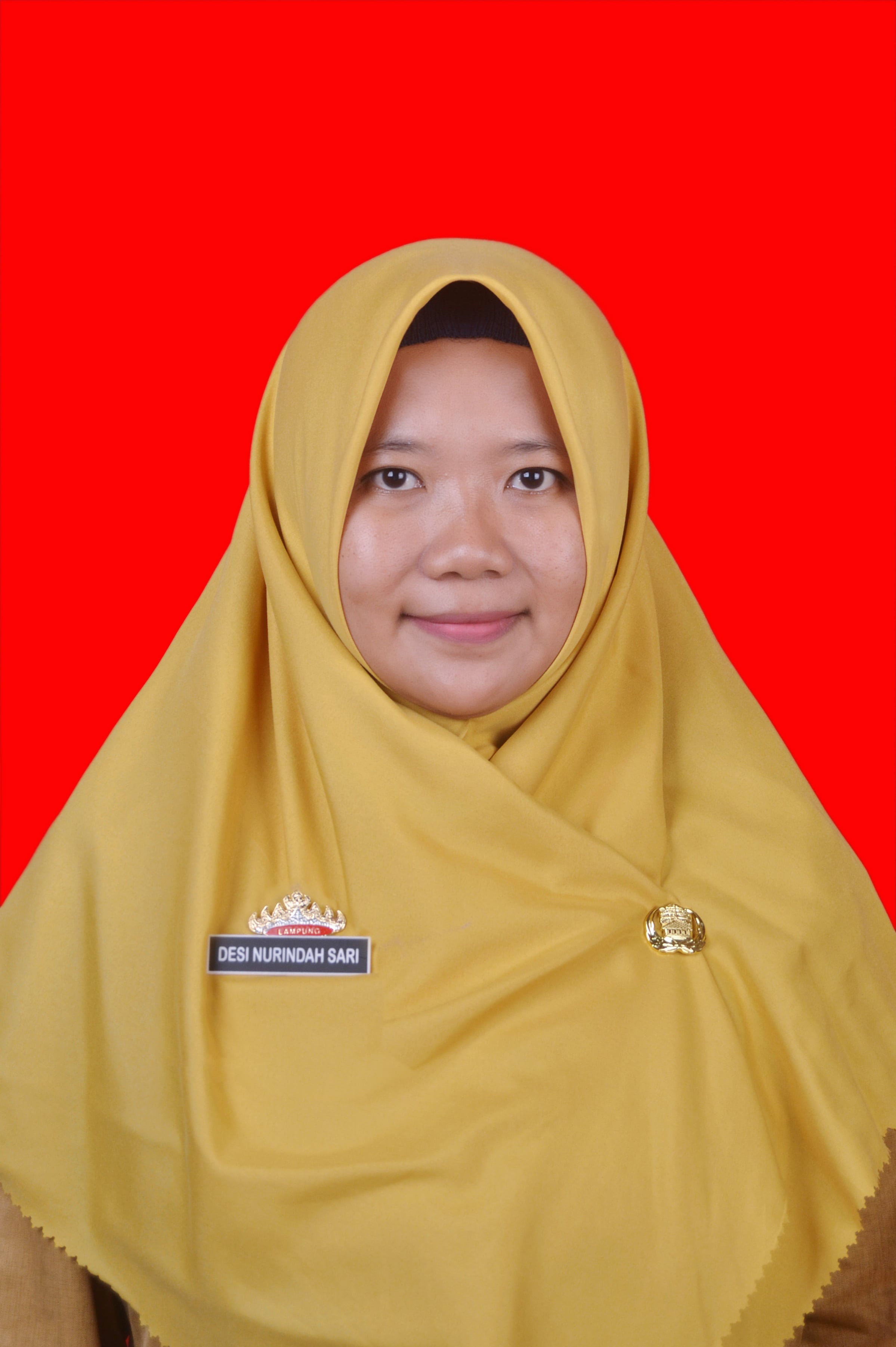 Foto DESI NURINDAH SARI S.Pd.